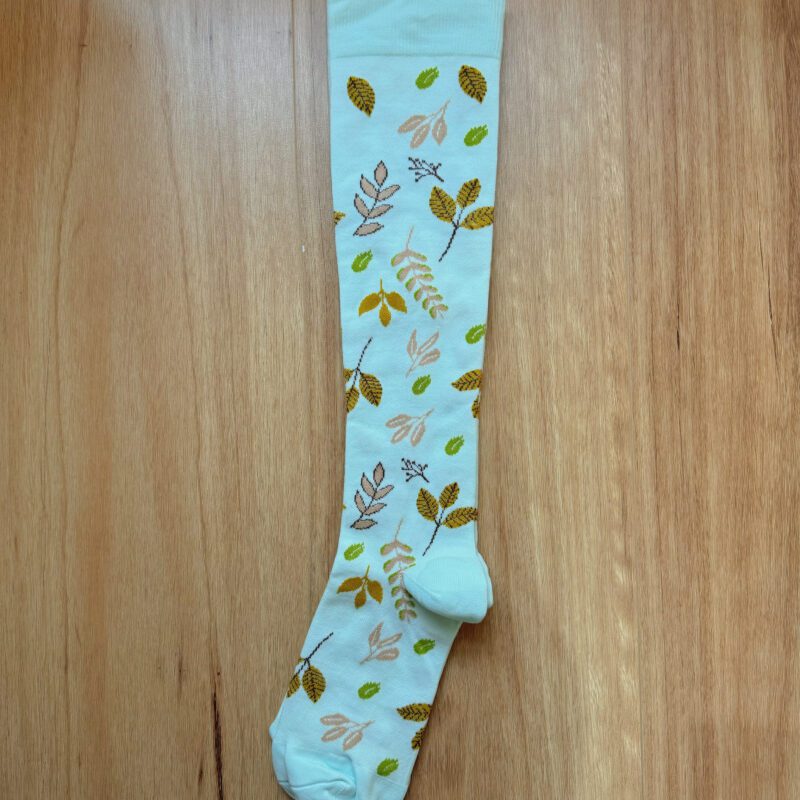 VỚ Y KHOA CÀNH LÁ XANH