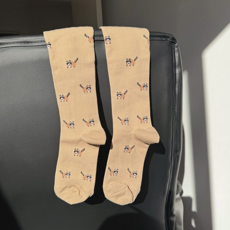 VỚ Y KHOA GẤU NÂU