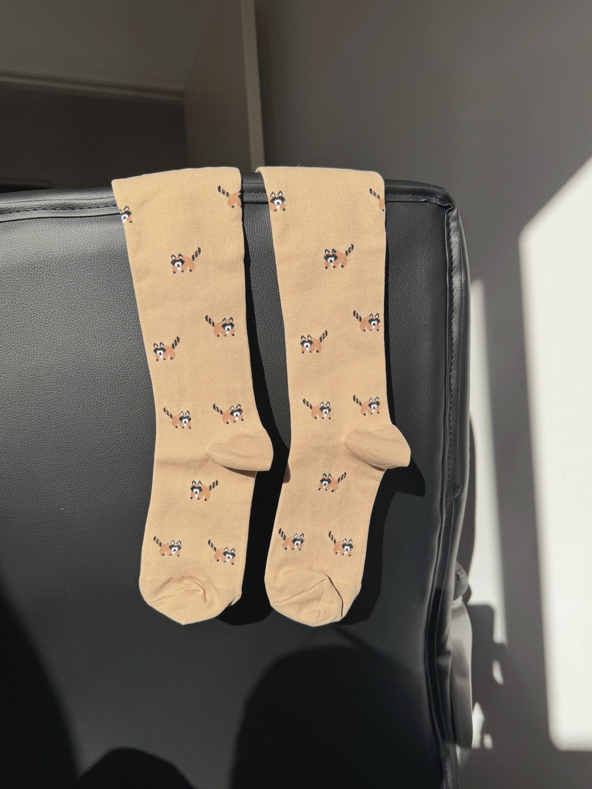 VỚ Y KHOA GẤU NÂU