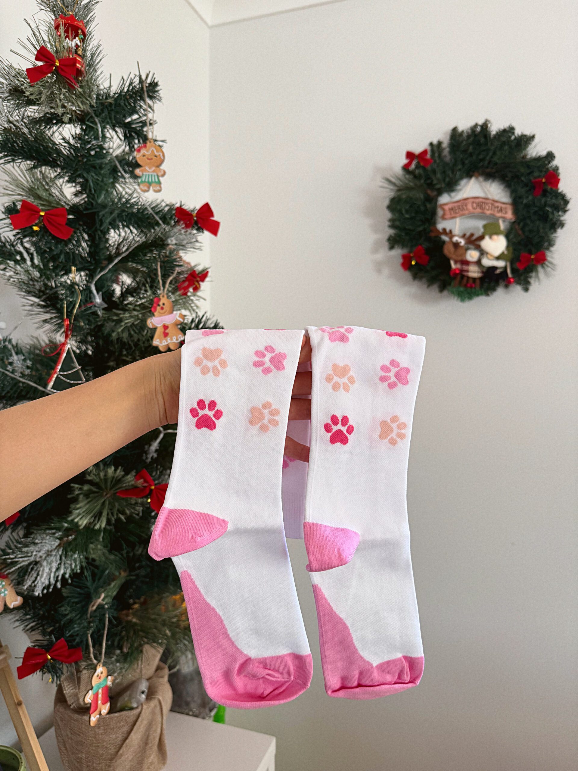 VỚ Y KHOA CHÂN MÈO HỒNG - Hình ảnh 3