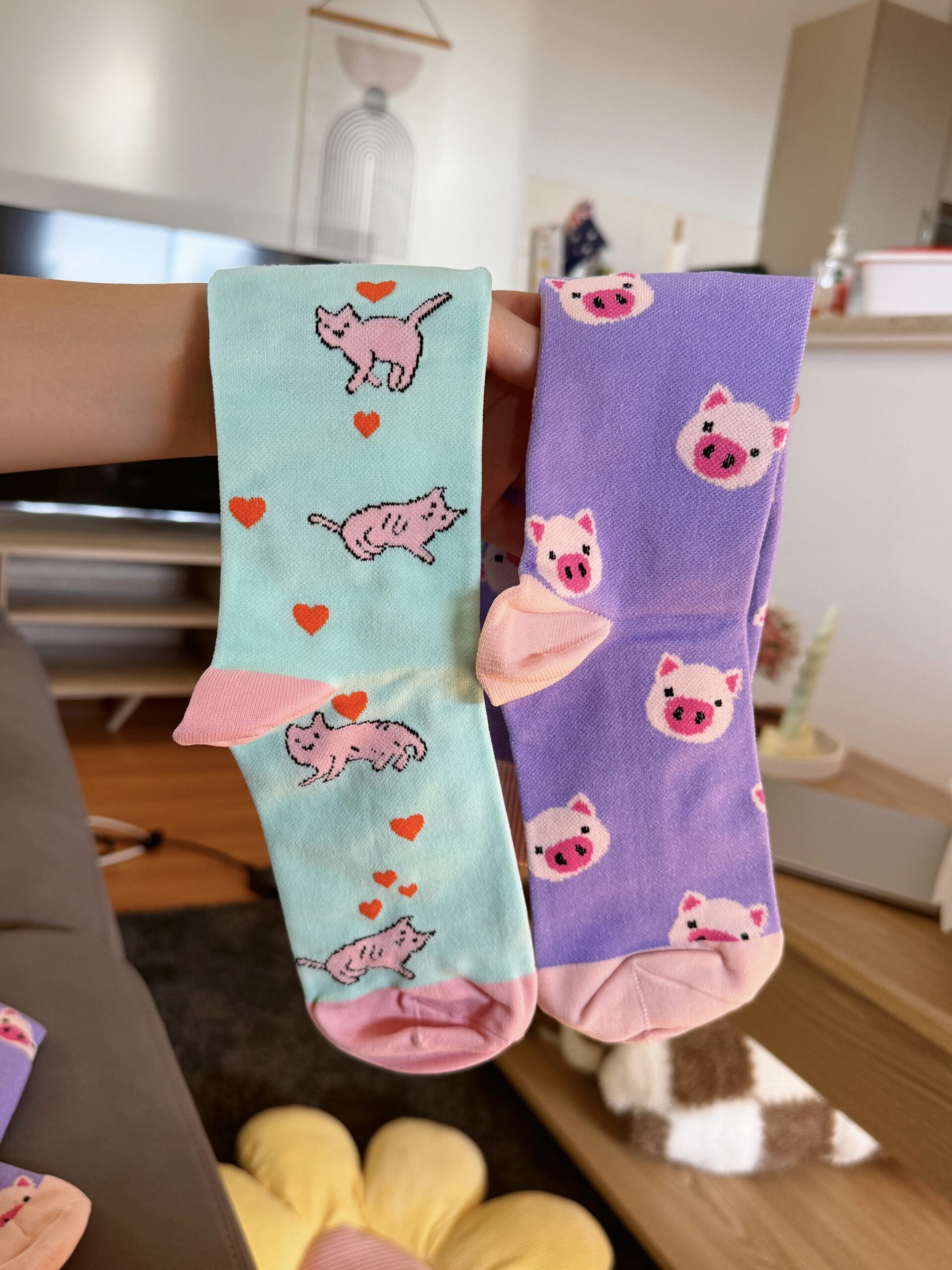 VỚ Y KHOA MÈO LƯỜI - Hình ảnh 4