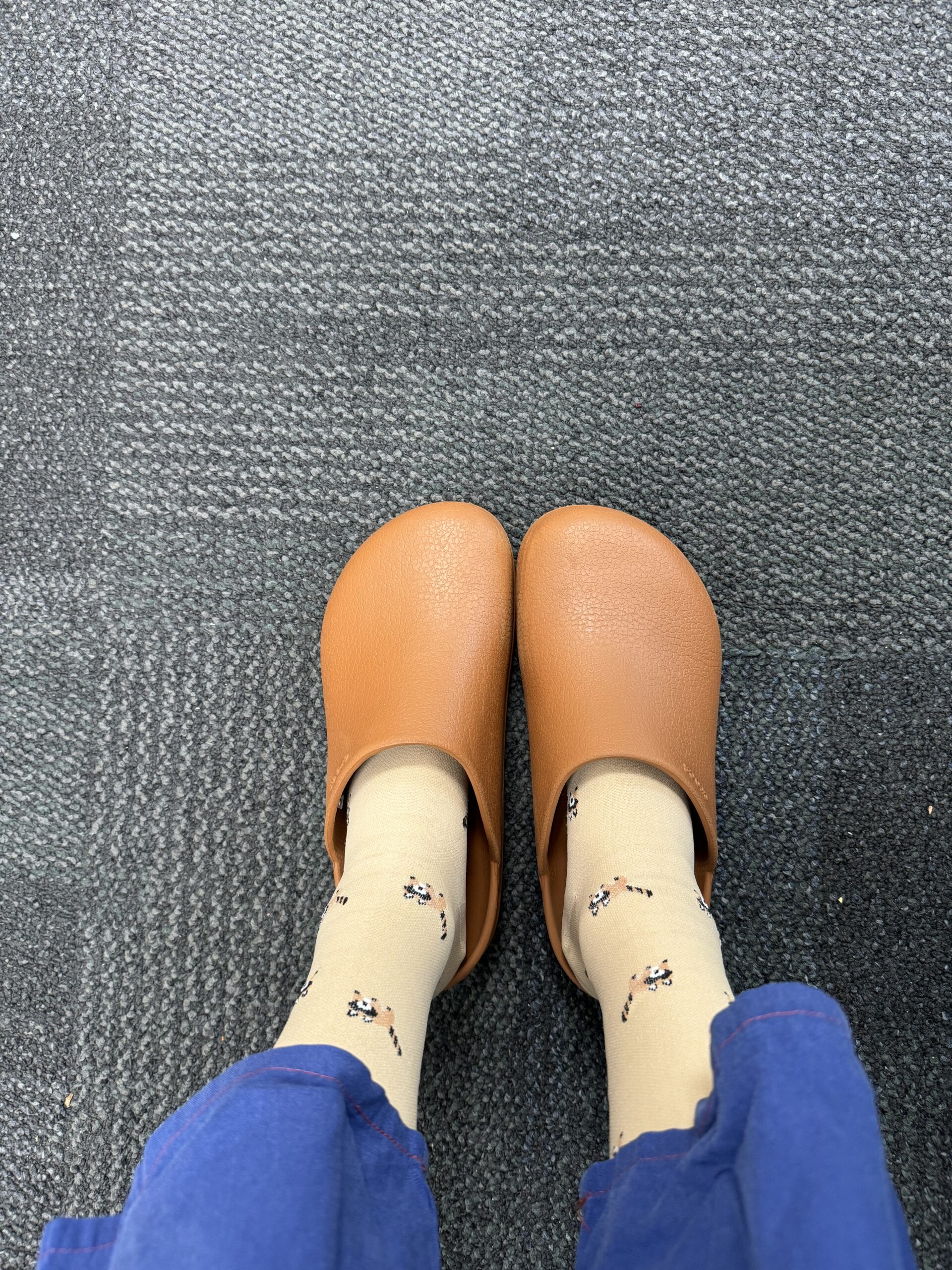 VỚ Y KHOA GẤU NÂU - Hình ảnh 4