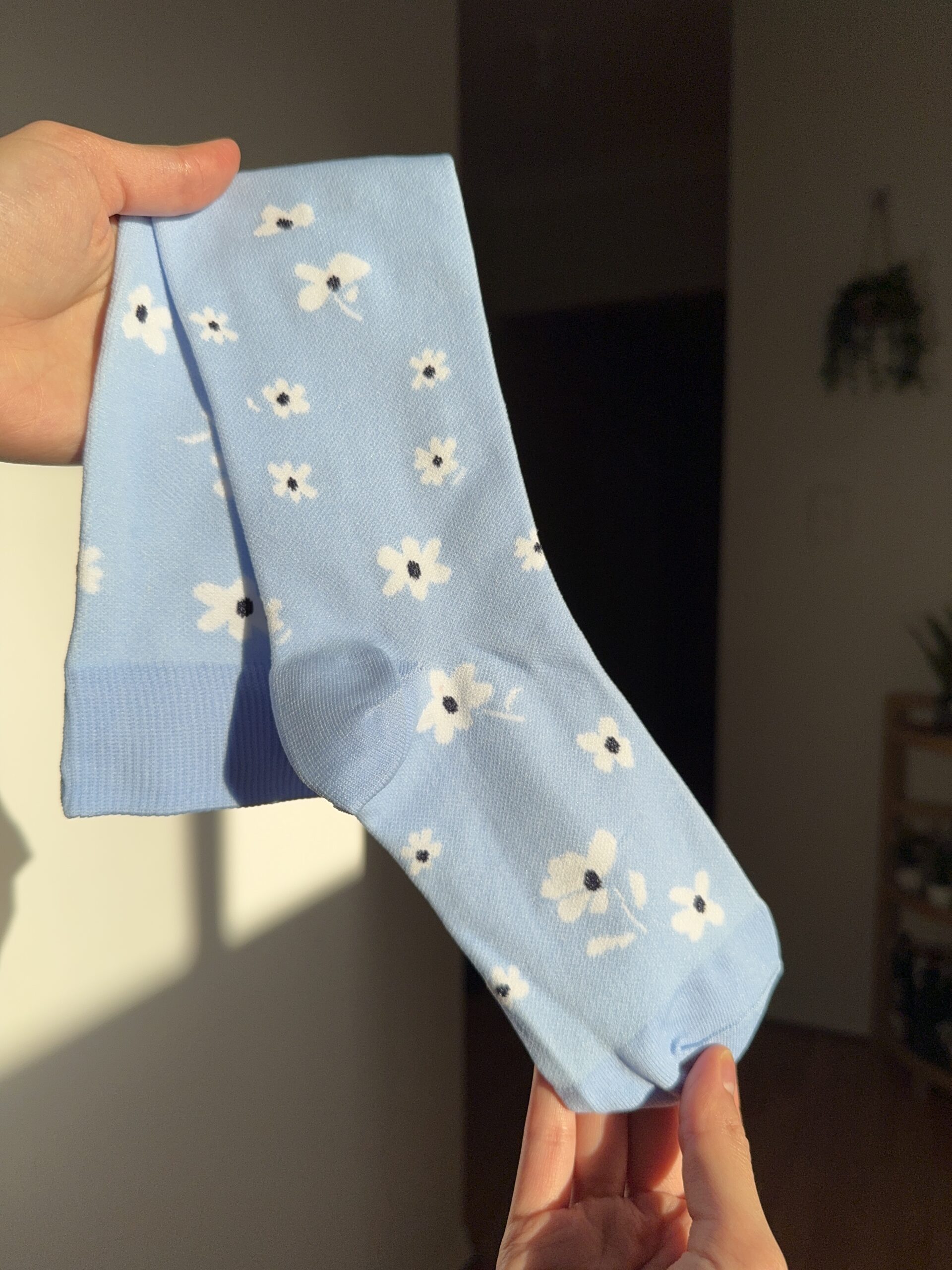 VỚ Y KHOA HOA NHÍ BLUE - Hình ảnh 3