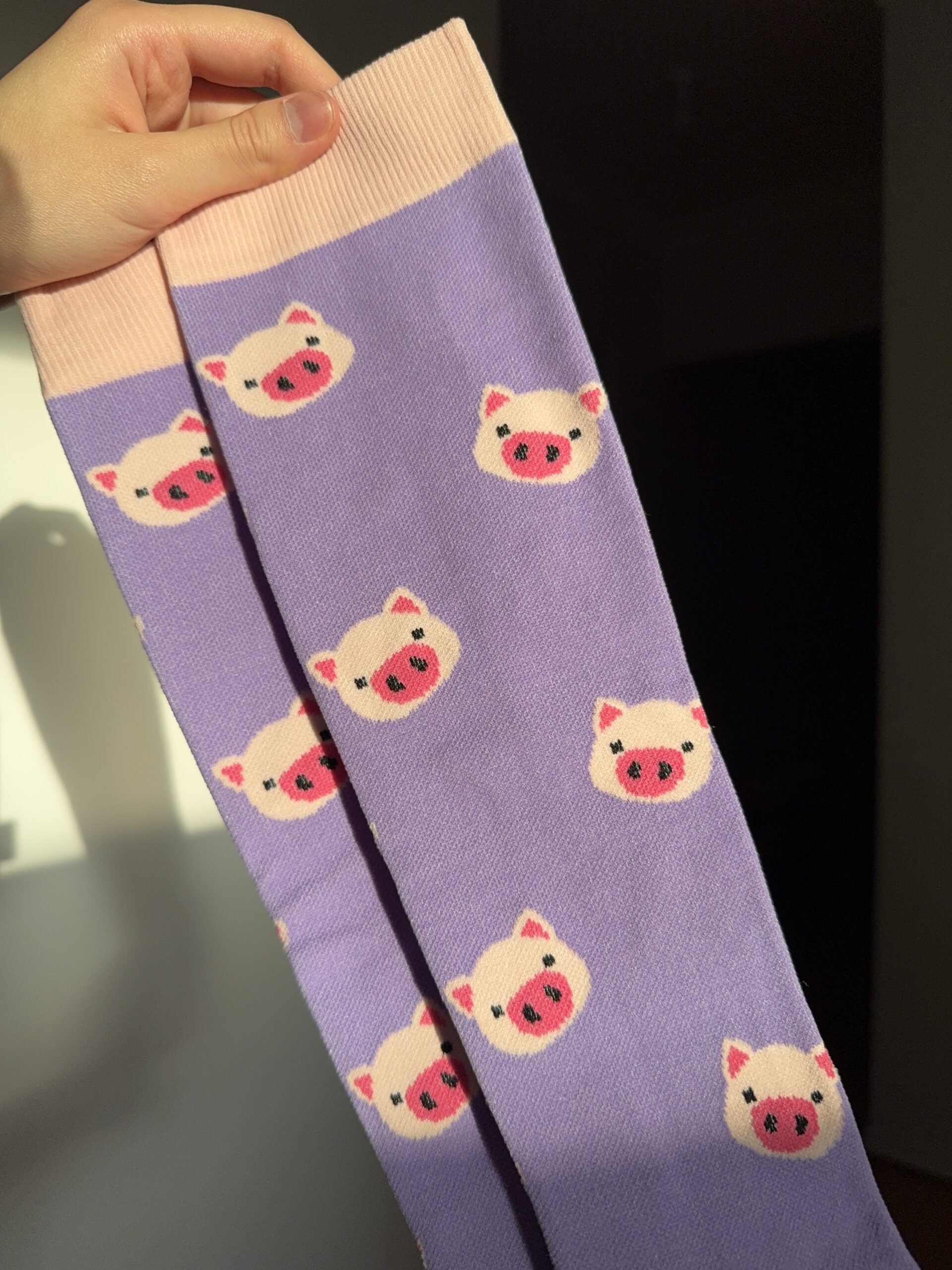 VỚ Y KHOA BÉ HEO - Hình ảnh 3