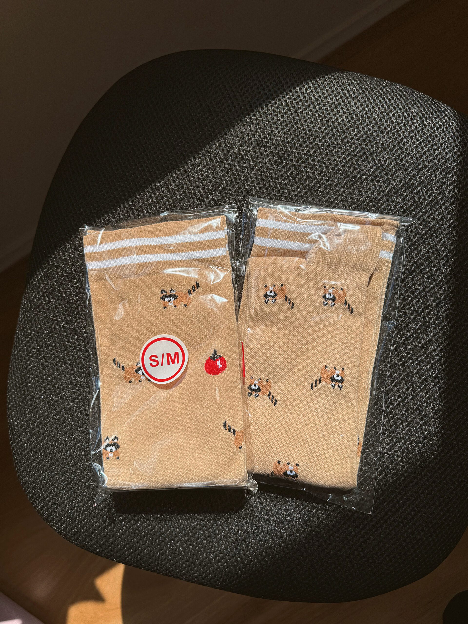 VỚ Y KHOA GẤU NÂU - Hình ảnh 3