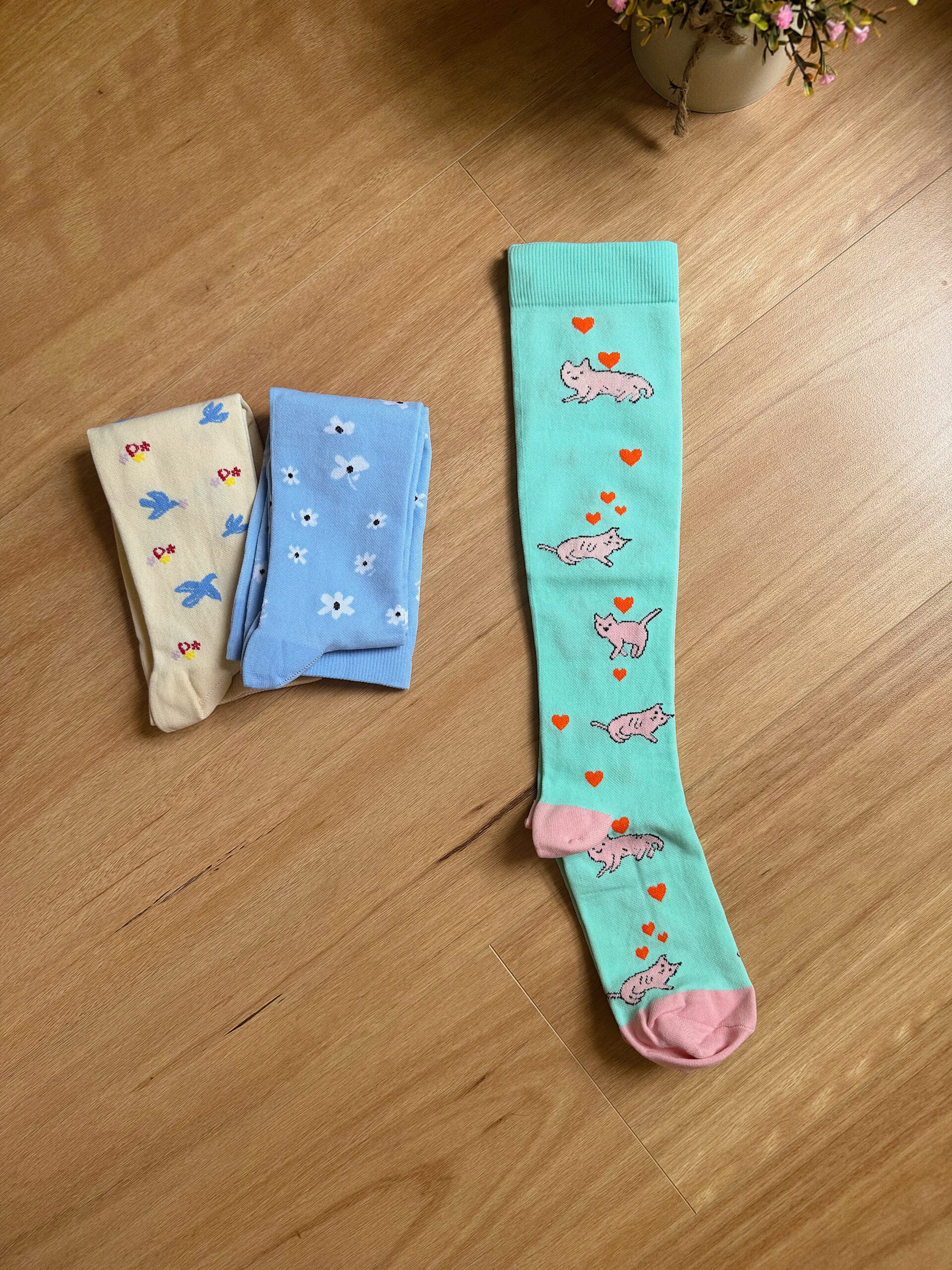 VỚ Y KHOA MÈO LƯỜI